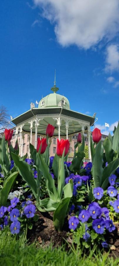 Byleilighet I Sjokanten M Terrasse Bergen Exteriör bild